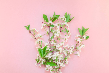创意顶景樱花盛开的花朵早午餐框架在千禧年粉红色背景与复制空间的最小风格模板的文字或您的设计