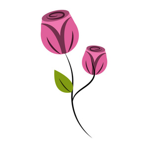 美丽玫瑰花瓣植物矢量插图设计