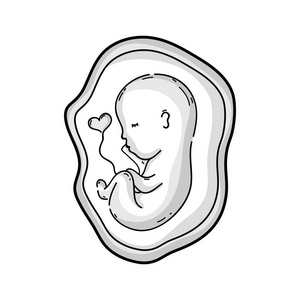 子宫内脐带线婴儿矢量插图