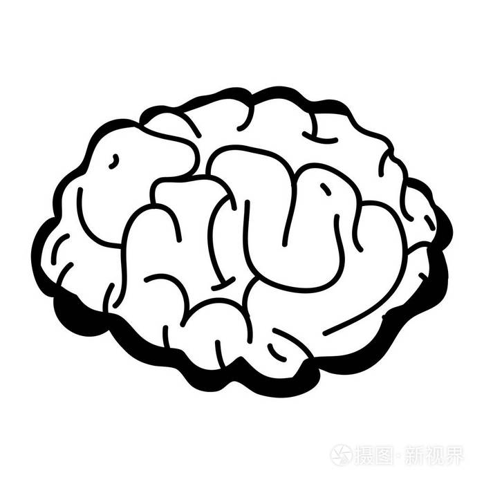 等高线人脑解剖到创造性和智力矢量插图插画-正版商用图片17qs3h-摄图
