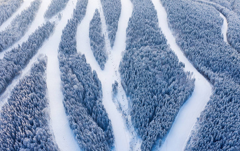 滑雪场斜坡的鸟瞰图。 森林和滑雪坡从空中。 无人机的冬季景观。 滑雪场上的雪景。 空中摄影