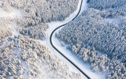 冬季道路和森林的鸟瞰图。 来自空气的自然冬季景观。 雪下的森林是冬天的时候。 无人机景观