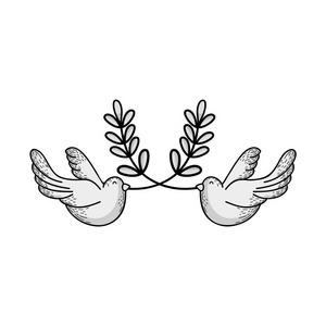 线可爱鸽子动物与树枝和平符号矢量插图