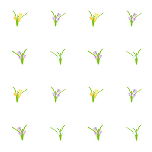 番红花无缝背景。 黄色的。 蓝紫春天的花，白色背景上的绿叶。 平面设计元素股票矢量插图网页印刷