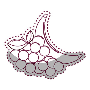 贴纸剪影葡萄和巴巴纳水果图标矢量插图设计图像