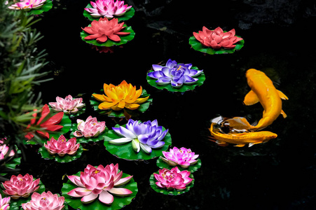 木雕荷花鱼图片