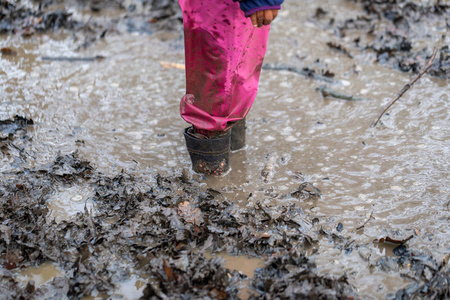 小孩子在泥坑里玩照片