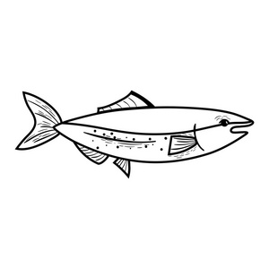 线美味海鲜鱼天然营养矢量插图