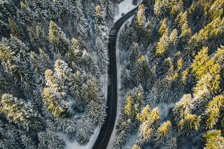 白雪覆盖了森林和道路