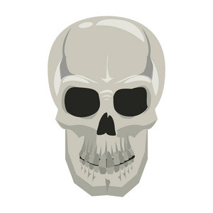 绘图的人类头骨