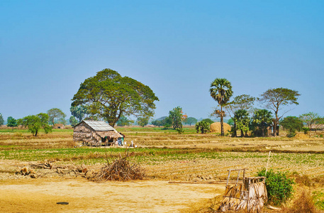 缅甸仰光郊区的风景秀丽的乡村景观，有破旧的棚屋。