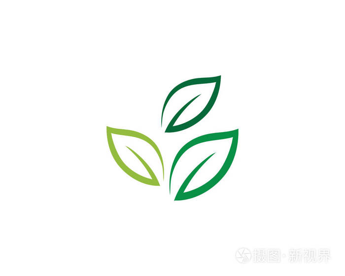 绿叶生态自然元素矢量图标