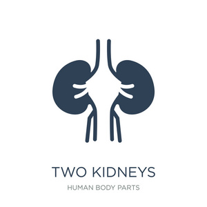 两个肾脏图标矢量白色背景两个肾脏时尚填充图标从人体部位收集。