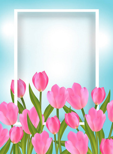 蓝色背景和框架与粉红色郁金香春季设计与花。 矢量图。