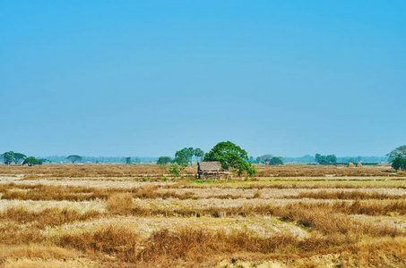  hut among the dry field in Yangon suburb, Myanmar.