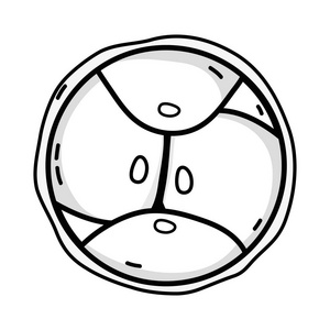 胚胎细胞图片-胚胎细胞素材-胚胎细胞插画-摄图新视界