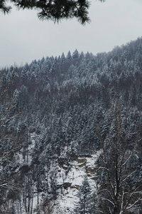 乌克兰冬季亚雷默切村附近的自然风景
