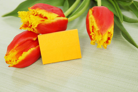 美丽的橙色郁金香和一张卡片复制空间