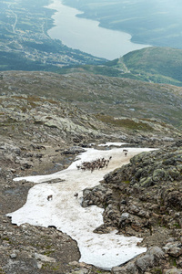 山脉夏季景观与驯鹿瑞典