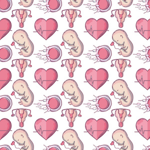 子宫和卵巢内的婴儿与精子载体插图