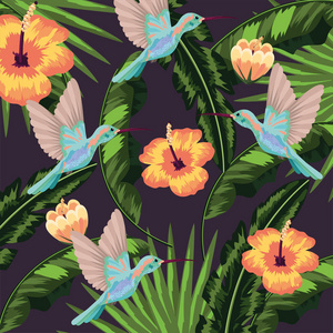 热带叶子蜂鸟植物背景矢量插图