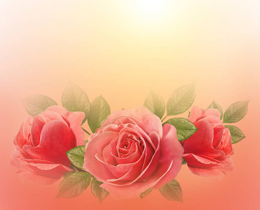 s background with roses. Valentines day card concept.