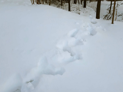 雪中的人类脚印近在咫尺