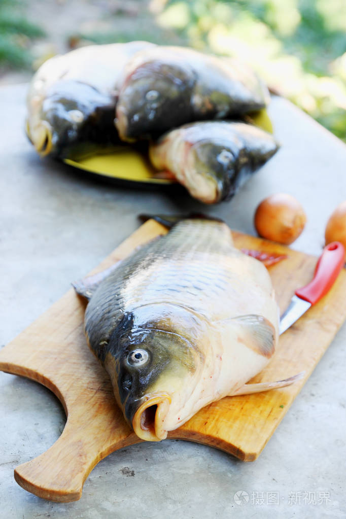 砧板上的大鱼鲤