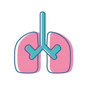 肺器官解剖肺护理矢量插图