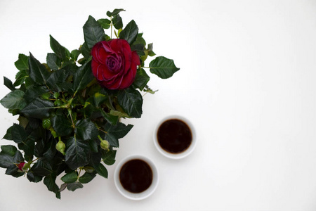 咖啡日期，两杯咖啡和红色玫瑰，白色背景