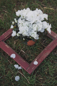 春天在草地上的一个罐子里开着一朵白色的花。壶杯里的一株植物的构图和窗户上的一个盒子的照片。早上的太阳。