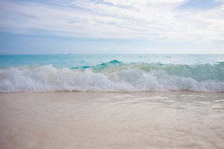 海滩。海松弛景观