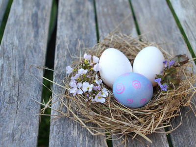 复活节巢有彩绘的鸡蛋