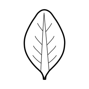 线状有机叶植物，矢量插图设计