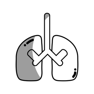 线肺器官解剖肺护理矢量图