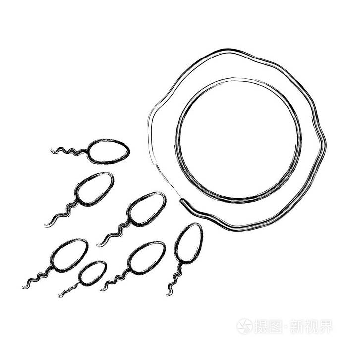 图卵和精子受精过程矢量图插画-正版商用图片17rtji-摄图新视界