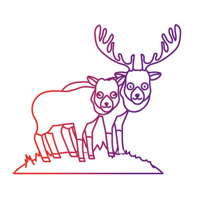 线可爱的麋鹿动物夫妇一起矢量插图照片