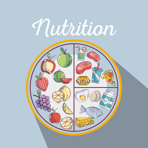 健康食品到健身营养成分矢量插图