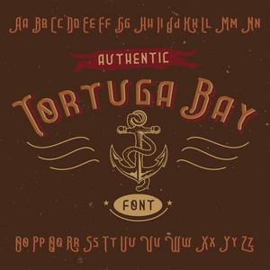 名为 tortuga 湾的复古标签字体