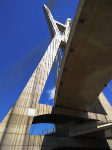 现代建筑。 现代桥梁。 电缆留桥在世界圣保罗巴西南美洲。