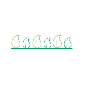 自然线和热带树叶矢量插图设计
