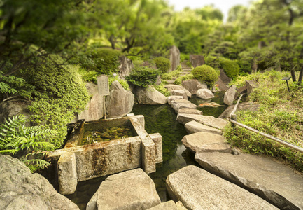 橙色的日本鲤鱼锦鲤在美次郎园的中央池塘，周围是大的扁平石头下的莫米吉枫树和松树。 在池塘上，六角形凉亭有一个柳条天花板，美丽地反