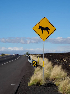 夏威夷大岛的一个熔岩场和高速公路环绕的穿越驴街标志