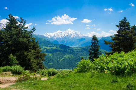 阿尔卑斯山的春天。在晴朗的日子高山谷风景