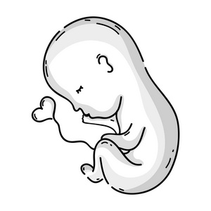 新生活和婴儿脐带矢量插图照片