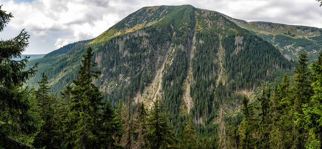 穿过森林的山景。 捷克共和国的全景山地风景和绿色森林在一个美丽的阴天在春天。