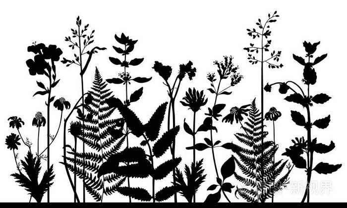 草地野草和植物的矢量剪影.白色背景上孤立的水平花架.自然草坪组成.