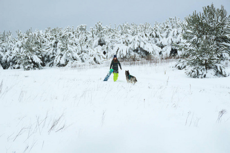 女孩带着一只滑雪板和一只哈士奇的狗在雪地里走。 在田里玩。 冬天的乐趣。