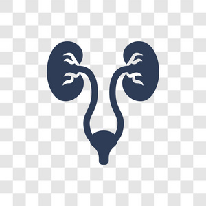 泌尿外科图标. 时尚泌尿外科标志概念透明背景从健康和医疗收集照片