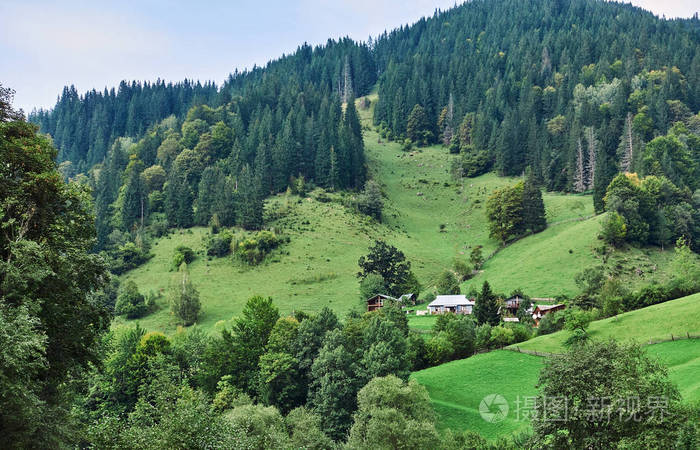 有森林的山。 喀尔巴阡山乌克兰欧洲